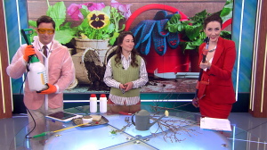 Садовый инструмент надо обрабатывать, как маникюрный: работы в саду — планы на апрель