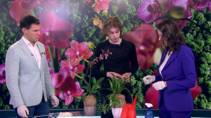 Кокедама своими руками. Советы флориста