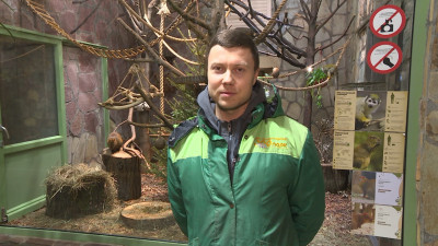 Сотрудник Ленинградского зоопарка Андрей Сулоев поздравил «Зенит» со 100-летием