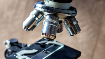 Микробы научились разгонять метаболизм, чтобы спастись от антибиотиков