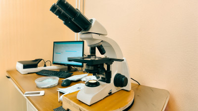 Петербургские учёные создали нейросеть для диагностики болезней центральной нервной системы у малышей