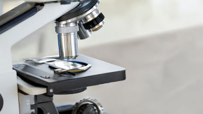 Роскачество обнаружило превышение токсичного вещества в Лабубу