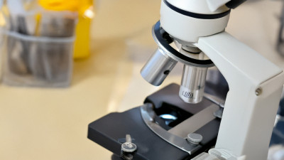 Российские учёные создали экспресс-тест на сальмонеллёз