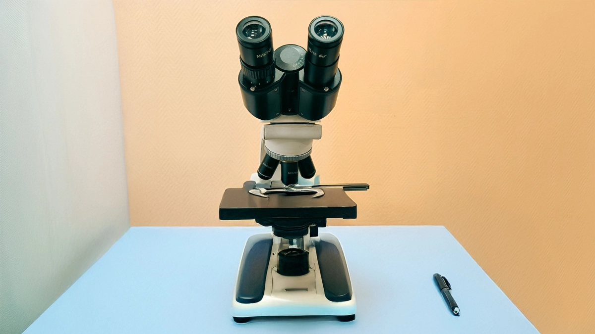 Российские ученые создали сорбенты, впитывающие нефть при экстремально низких температурах - tvspb.ru