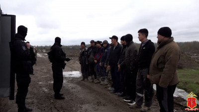 Полиция проверила рабочих-мигрантов в Ленобласти — видео