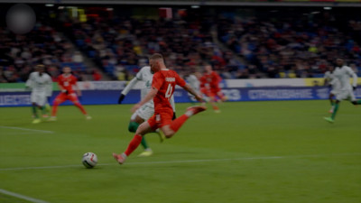 Сборная России по футболу сыграет с Нигерией 6 июня