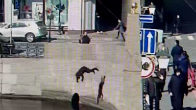 В Петербурге прохожий прыгнул в Мойку с Красного моста – мужчина выжил, его вытащили