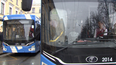 Петербуржцы выбрали «имена» для обновленных троллейбусных маршрутов №51 и 52