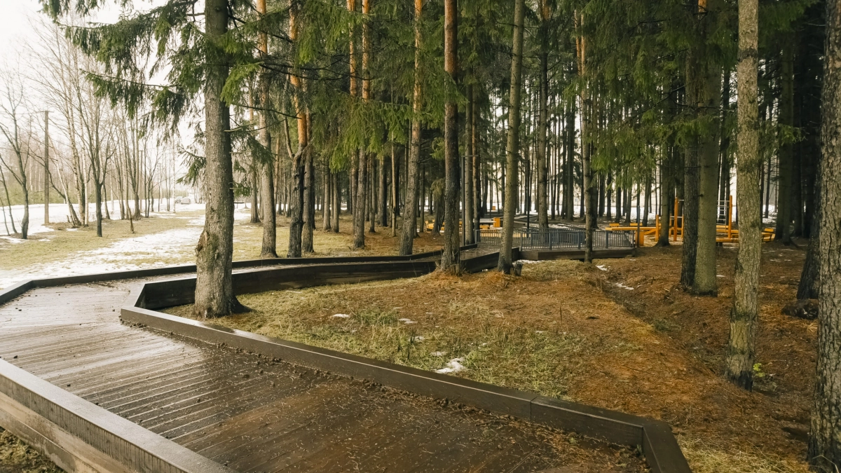 Илья Стрелков о создании «зеленого пояса» Петербурга: это мощная инициатива губернатора, направленная на улучшение экологической ситуации - tvspb.ru