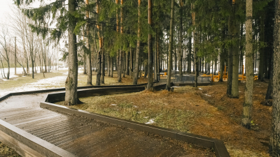 Илья Стрелков о создании «зеленого пояса» Петербурга: это мощная инициатива губернатора, направленная на улучшение экологической ситуации