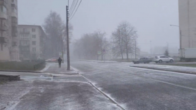 Похолодание и снег: жителей Ленобласти предупредили о морозах