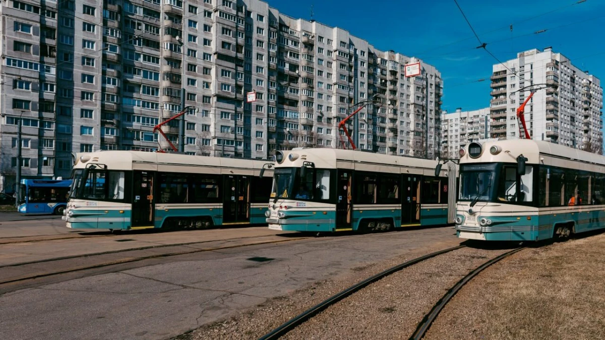 Трамваи и троллейбусы Петербурга перевезли более 72 млн пассажиров за I квартал 2025 года - tvspb.ru