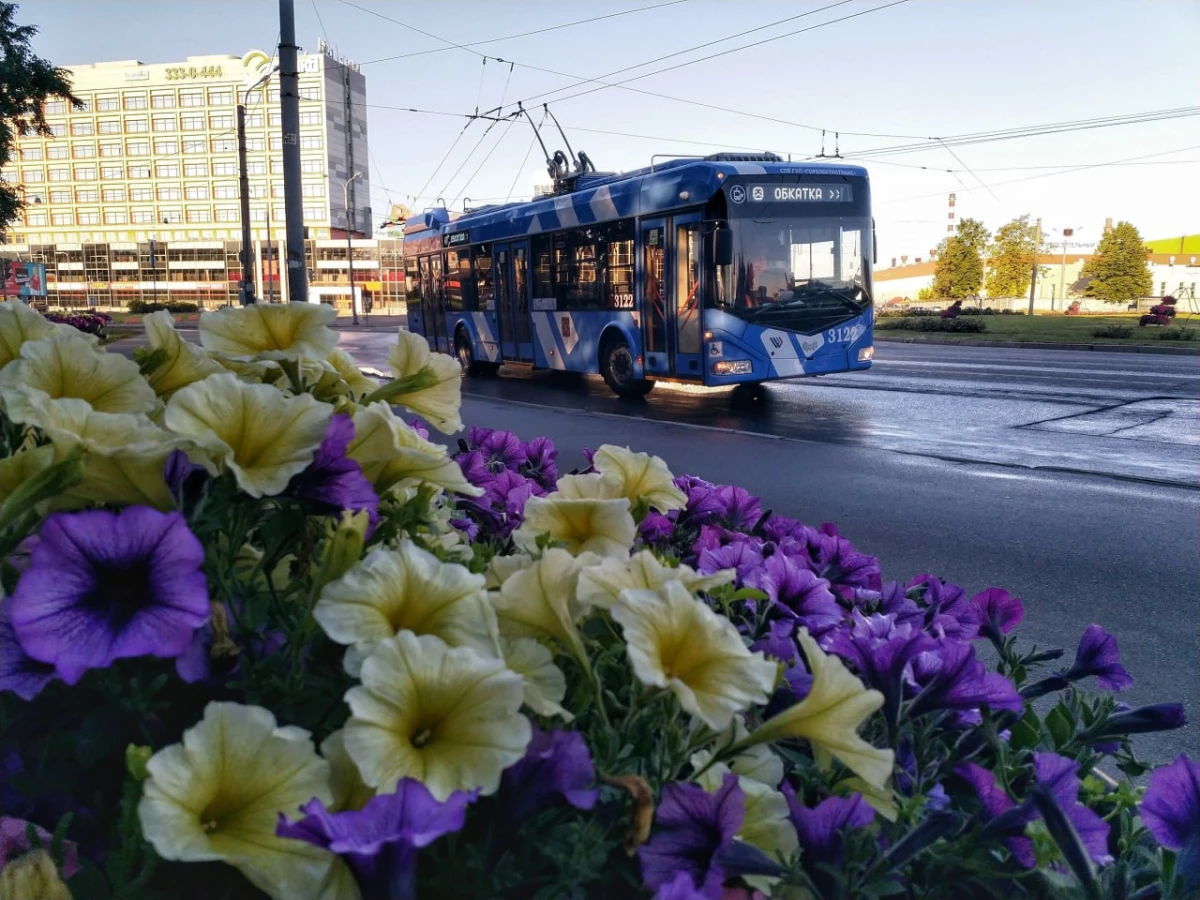 «Женечка» и «Катюша»: петербуржцы выбрали имена для новых троллейбусных маршрутов - tvspb.ru