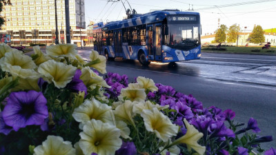 «Женечка» и «Катюша»: петербуржцы выбрали имена для новых троллейбусных маршрутов