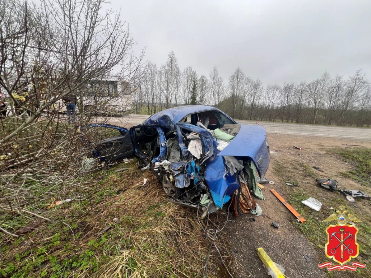 Двое детей и водитель пострадали в ДТП на дороге «Сиверская – Дружная Горка – Куровицы» - tvspb.ru