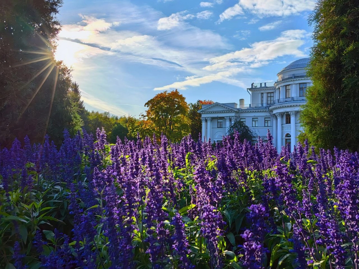 ЦПКиО им. С.М. Кирова — дважды лауреат II Всероссийской парковой премии «Парки России» - tvspb.ru