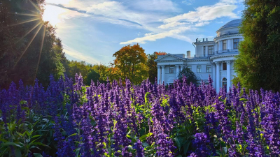 ЦПКиО им. С.М. Кирова — дважды лауреат II Всероссийской парковой премии «Парки России»