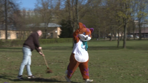 Не просто сгребание листвы: субботник-квест пройдёт в рамках Невского эко-марафона