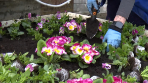 Любимый остров: ЦПКиО им. С.М. Кирова стал лауреатом Всероссийской парковой премии «Парки России» в двух номинациях