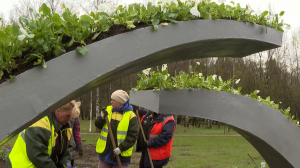 Праздничное цветочное оформление Петербурга к 80-летию Великой Победы