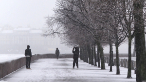 Снег в апреле. В Петербург вернулась зима