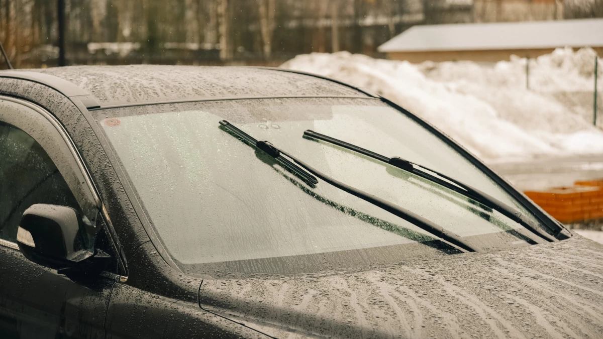 В Петербурге 6 декабря ожидаются дожди - tvspb.ru