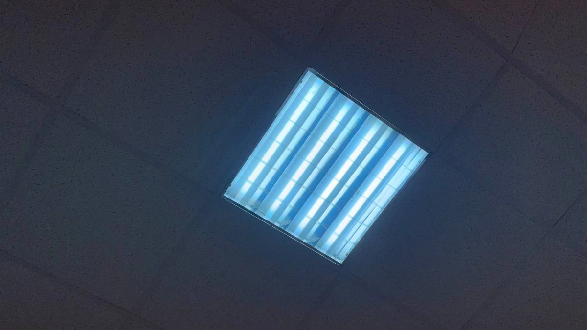 В Адмиралтейском районе частично пропало электричество - tvspb.ru