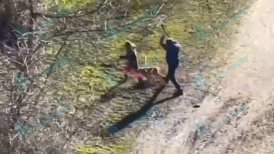 Собака напала на восьмилетнюю девочку и пожилую даму на улице Лени Голикова