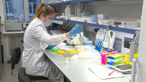 На страже энергии. Что такое митохондрии и как они помогают восстановить ослабленный организм после коронавируса и гриппа?