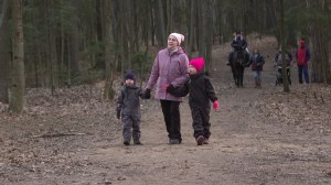 Бабушка как многофункциональный образовательный комплекс: как превратить прогулку с внуками в полезный и познавательный квест