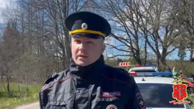 В Гатчинском районе Ленобласти произошло смертельное ДТП: полиция проводит проверку