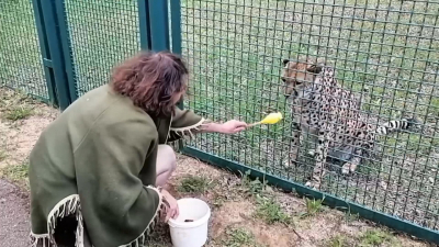 Как найти новый подход к животным, рассказали сотрудникам Ленинградского зоопарка