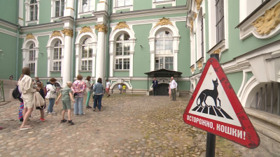 Праздник пушистых хранителей искусства: День эрмитажного кота пройдёт 31 мая