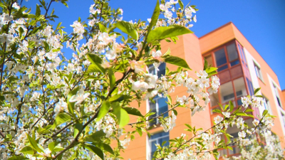 В покупке квартиры важно все – от выбора планировки до экологии жилого квартала: как устроен проект комплексного развития территории «На Царскосельских холмах»