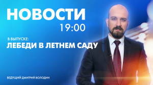 Новости Петербурга к 19:00