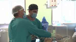 Травматолого-ортопедическое отделение Госпиталя для ветеранов войн