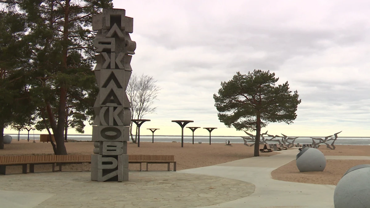 В Курортном районе 3 августа пройдет самое необычное мероприятие Петербурга — «Книжный пляж» - tvspb.ru