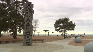 Благоустройство пляжа «Ласковый»