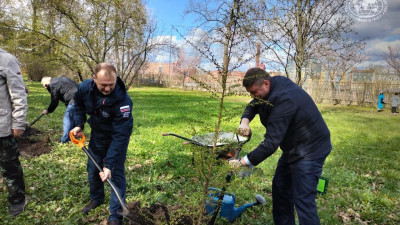 В Петербурге отметили 180-летие Русского географического общества высадкой деревьев