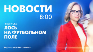 Новости Петербурга к 8:00