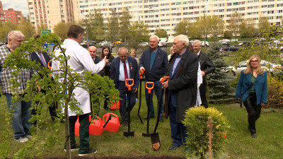 В саду больницы Святого Георгия посадили новые деревья в честь Дня медсестры