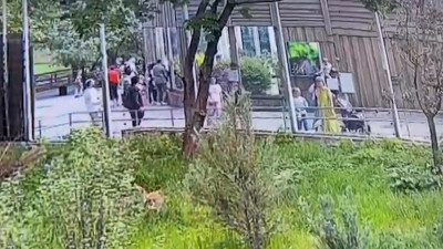 В Московском зоопарке неизвестный попытался отравить животных