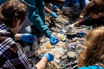 Экологическая политика России станет намного эффективнее