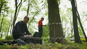 Деревья Петербурга. Живые свидетели истории города
