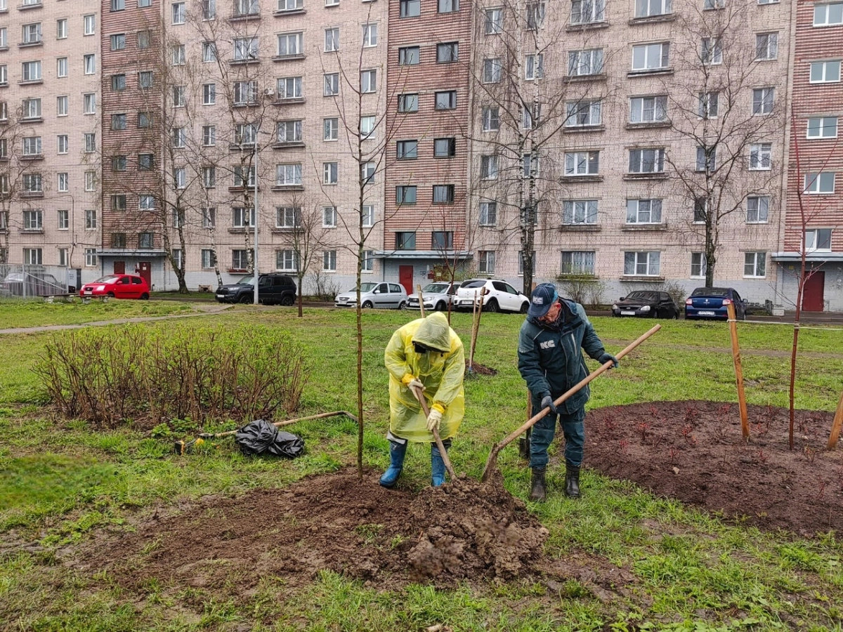 На все майские праздники дорожников и садовников Петербурга перевели на усиленный режим работы - tvspb.ru