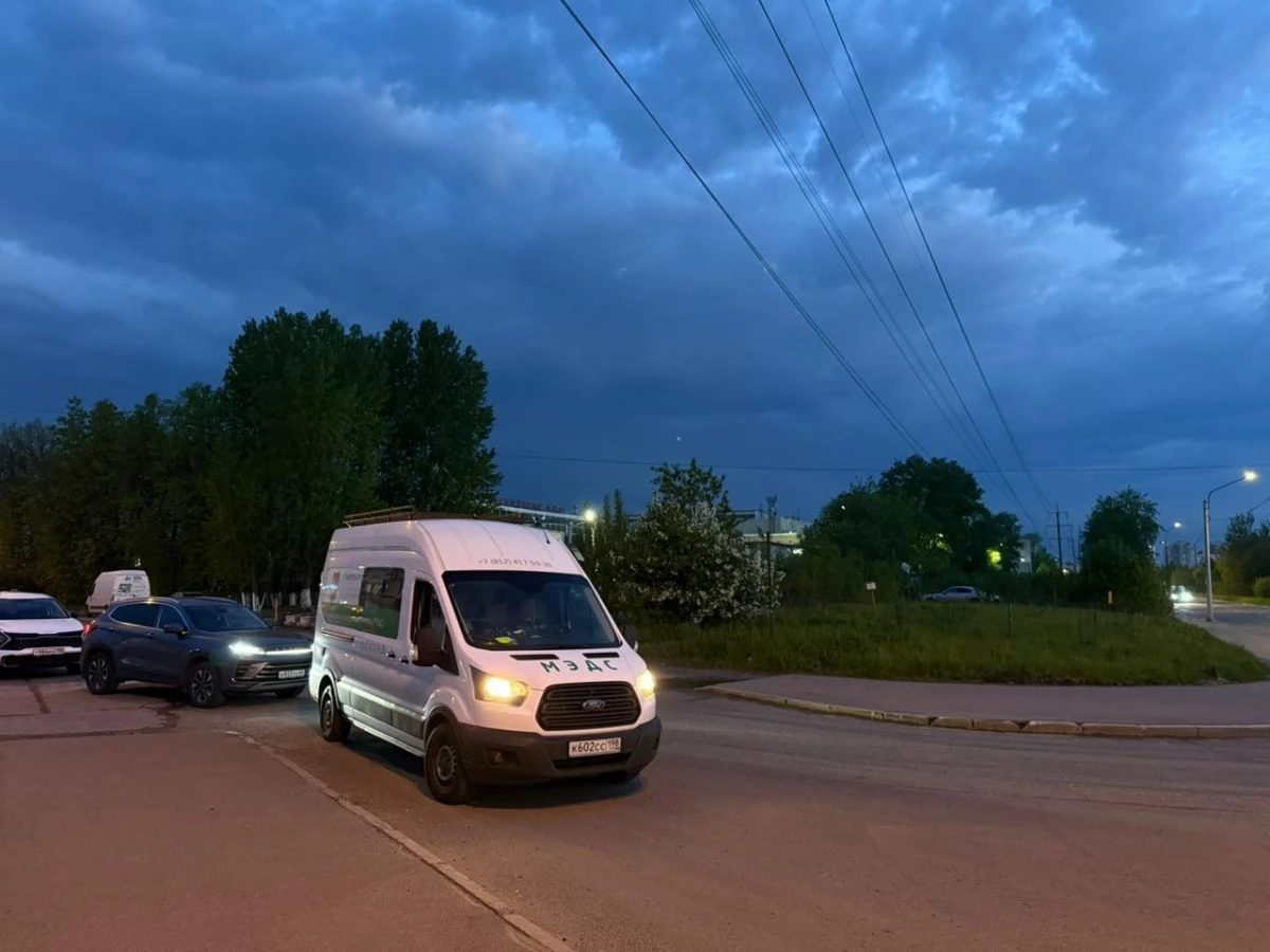 Лоси покинули жилые кварталы Фрунзенского района, направляясь в сторону Ленобласти - tvspb.ru