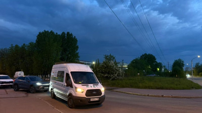 Лоси покинули жилые кварталы Фрунзенского района, направляясь в сторону Ленобласти