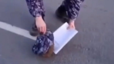 Под Петербургом росгвардейцы спасли ежа