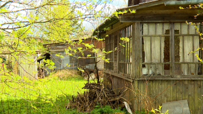 Петербуржцам рассказали, что случается с заброшенными дачами и нерадивыми землевладельцами
