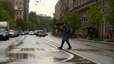 МЧС: дожди, ливни и грозы ожидаются в Петербурге 26 мая